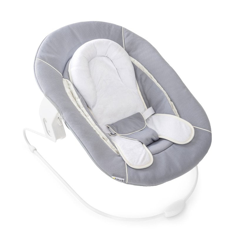 Baby Food Mill - Alpha 2 in 1 Bouncer