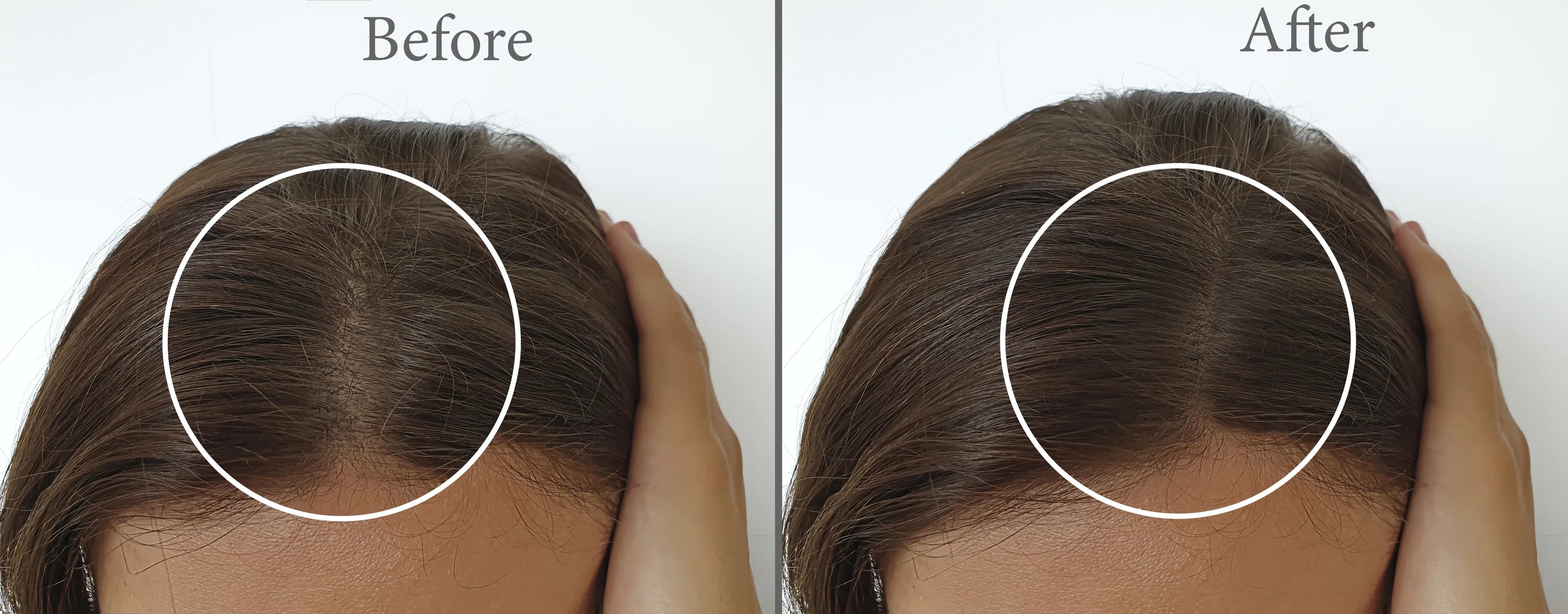 ProGrow Clay Hair Loss Shampoo - Baby Food Mill review and price
