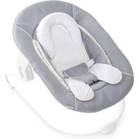 Alpha 2 in 1 Bouncer - Baby Food Mill review and price
