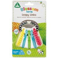 Blossom Farm Loopy Links - Baby Food Mill review and price