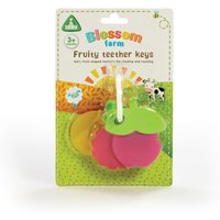 Blossom FruityTeether Keys - Baby Food Mill review and price