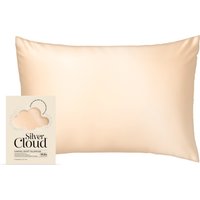 Silver Cloud Caramel Satin Pil - Pampers Diaper Premium Care review and price