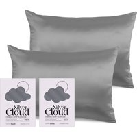 Silver Cloud Charcoal Satin Pi - Pampers Diaper Premium Care review and price